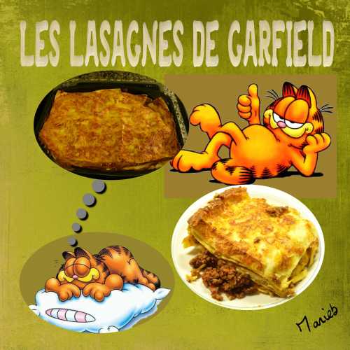 les-lasagnes-de-garfield.jpg